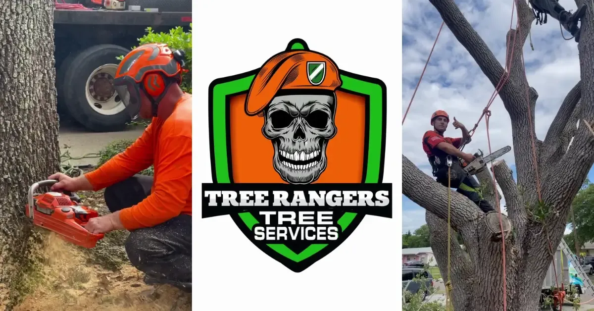 Professional commercial tree service in Seminole, FL including