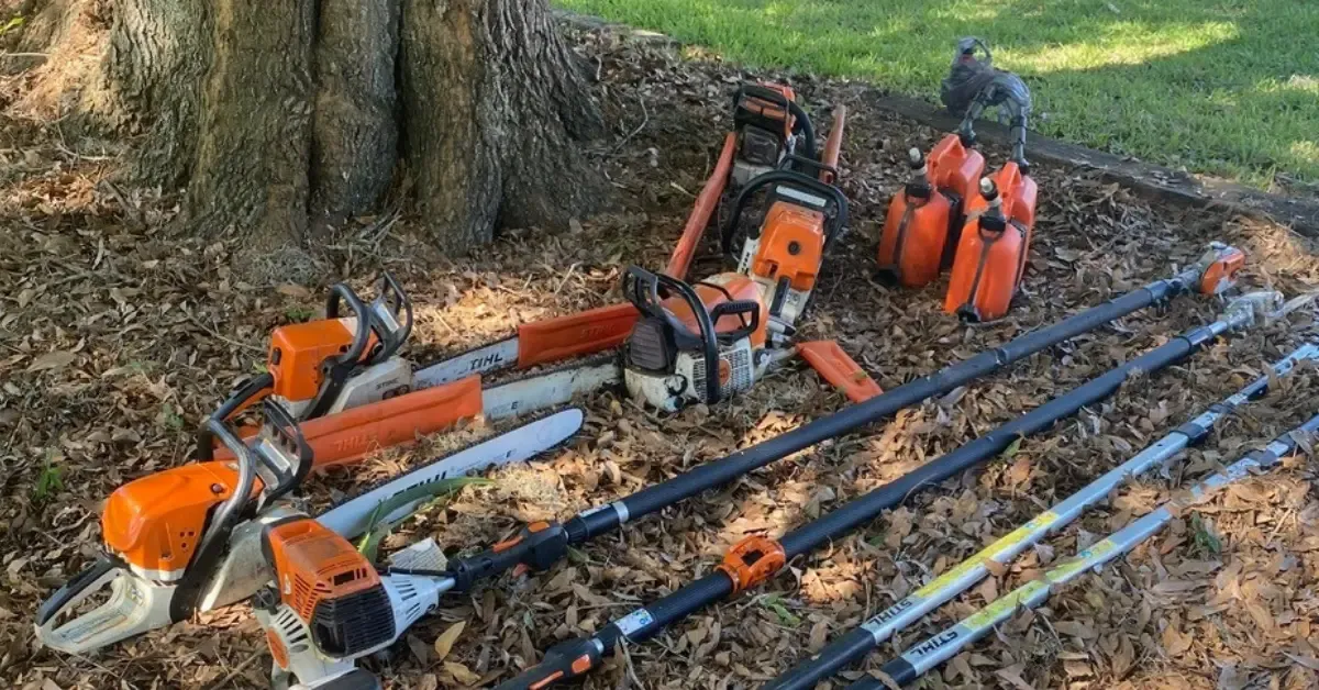 Shrub Removal & Trimming