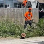 Shrub Removal & Trimming