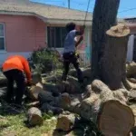 Stump Grinding & Removal